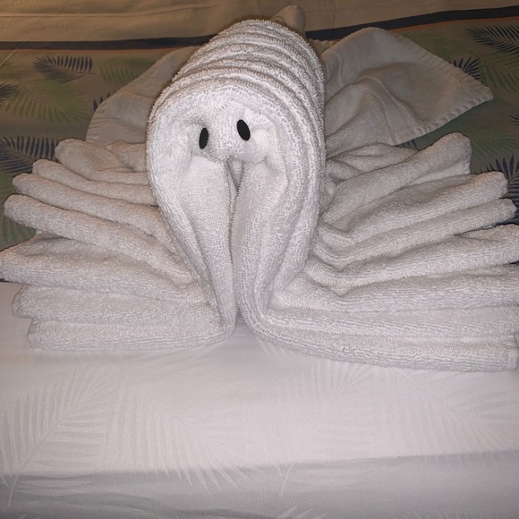 Meet your Posher, Alla - Picture 1 of 1